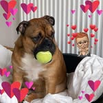 Lynn Hook - @lynn.hook - Instagram
