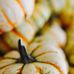Debra-Lynn Hook's Seasonal Photo Cards - Facebook