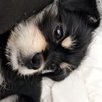 Zoey-Lynn Hope - @zoeylynnhope - Instagram
