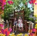 Lynn Huffman - Facebook