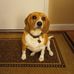 Lynn Huffman - Facebook