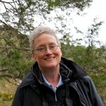 Lynn Hulsey - @lynnhulsey - Instagram