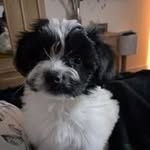 Lynn Humphreys - @lynnhumphreys52 - Instagram