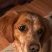 Lynn Hynes - Facebook
