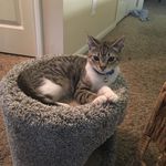 Kupcake Mariah-Lynn Irby - @kupcakemami_ - Instagram