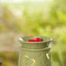 Stacy Lynn Irish - Independent Scentsy Consultant - Facebook