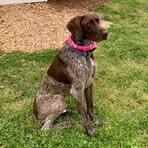 Lynn Jarrett - Facebook