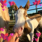 Kate-Lynn Jerome-Hall - @champanekizzes - Instagram