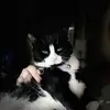 Lynn Jock 107 - @lynn.jock.107 - TikTok