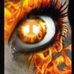 Lynn Johnson - Facebook