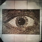 Lynn Johnson - @ljohnphoto - Instagram