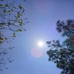 Lynn Dorsett - @lynnjonas76 - Instagram