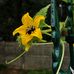 Lynn Joubert - Facebook