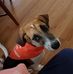 Lynn Joyner - Facebook
