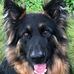 Lyn Judge - Facebook