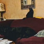 Lynn Kahn - @lynnkahngreyw - Instagram