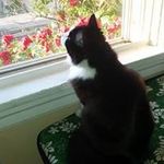 Lynn Kaiser - @lynnk1956 - Instagram
