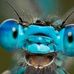 Lynn Kaiser - Facebook