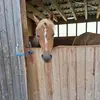 Lynn - @lynnkaiser298 - TikTok