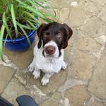 Lynette Karsten Winget - @lynettewinget - Instagram