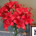 Lynn Kasper - @lskasper2 - Instagram