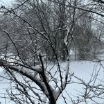 Lynn Kasper - @134ldk - Instagram