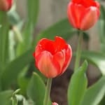 Lynn Kasper Dewinter - @kasperdewinter - Instagram