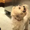 user9868052303093 - @sparkles.lynnkaup10168 - TikTok