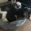 Lynn Kenny Kavanagh - @lynn.kenny.kavana - TikTok