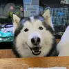 jerilynnkeating - @jerilynnkeating - TikTok