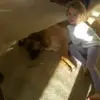 Cailynn Keefer - @cailynn.keefer - TikTok