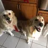 lynnkeeferadams - @lynnkeeferadams - TikTok