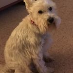 Lynne Keeling - @lyndyloo142 - Instagram