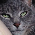 Lynne Keeling - @lynneke.10 - Instagram