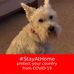 Lynne Keeling - Facebook
