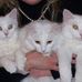 Lynn Keene - Facebook