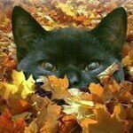 Lynn Hoffmeyer Kellner - @lynnhoffmeyer - Instagram