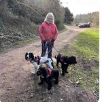 Lynn Kent - @lynnit15 - Instagram