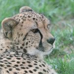 Lynn Kenyon - @lynnkenyon4 - Instagram