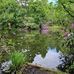 Lynn Kenyon - Facebook