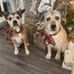 Lynn Kenyon - Facebook
