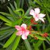 Lynn Kerns - Facebook