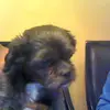 lynnkeys2 - @lynnkeys2 - TikTok