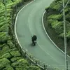 lynnrjtkile - @lynnrjtkile - TikTok