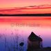 Lynn Kilpatrick - Facebook