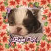 Lesha Lynn Kinder - @leshalynnkinder - TikTok