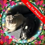 Lynn Kinnear - @lynn_kinnear_2 - Instagram