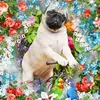 Lynn Kinnear - @lynnkinnear3 - TikTok