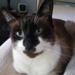 Lynn Kinnear - @kinnearlynn - Instagram