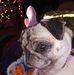 Lynn Lubak Kinnear  - Facebook